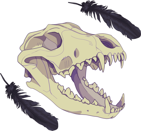 Skull Face Right - Wolf Skull Shirt Design (600x561), Png Download