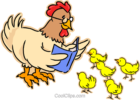 Mother Hen With Chicks Royalty Free Vector Clip Art - Poule Et Poussins Dessin (480x345), Png Download