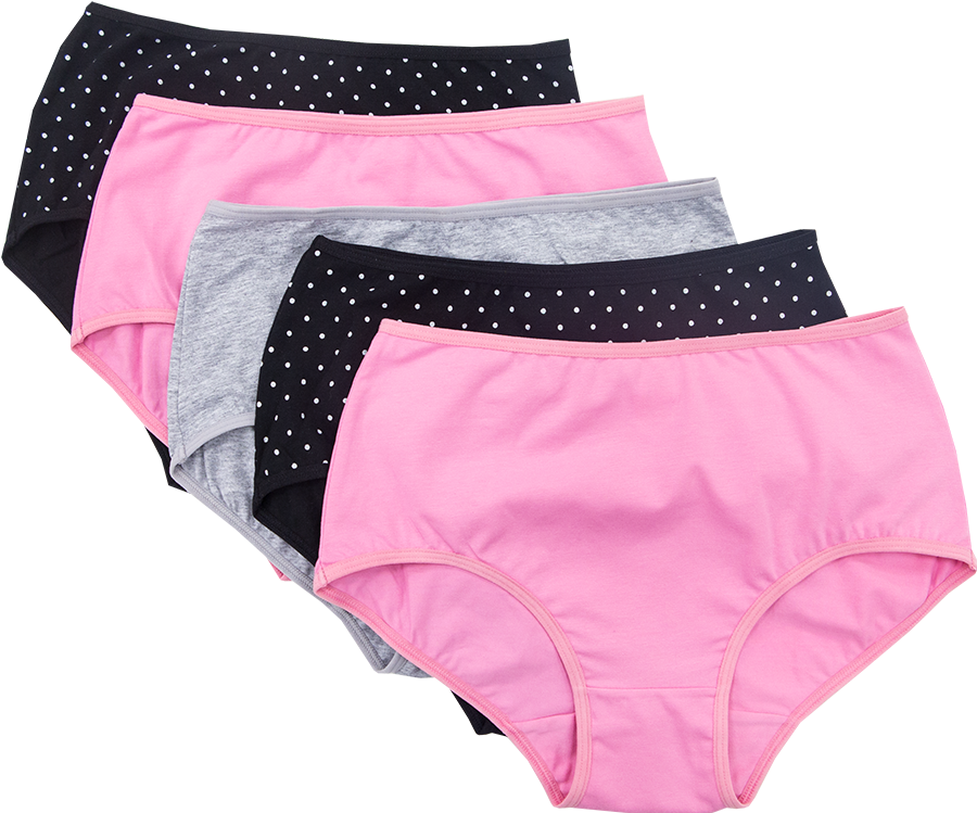 5 Pack Ladies Full Briefs - Ladies Panties Png (1000x1000), Png Download