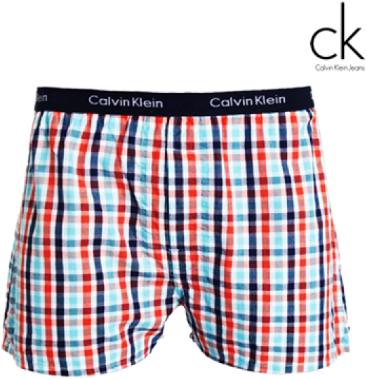 ~calvin Klein Checkered Boxer Short Underwear - Undergarment (600x600), Png Download