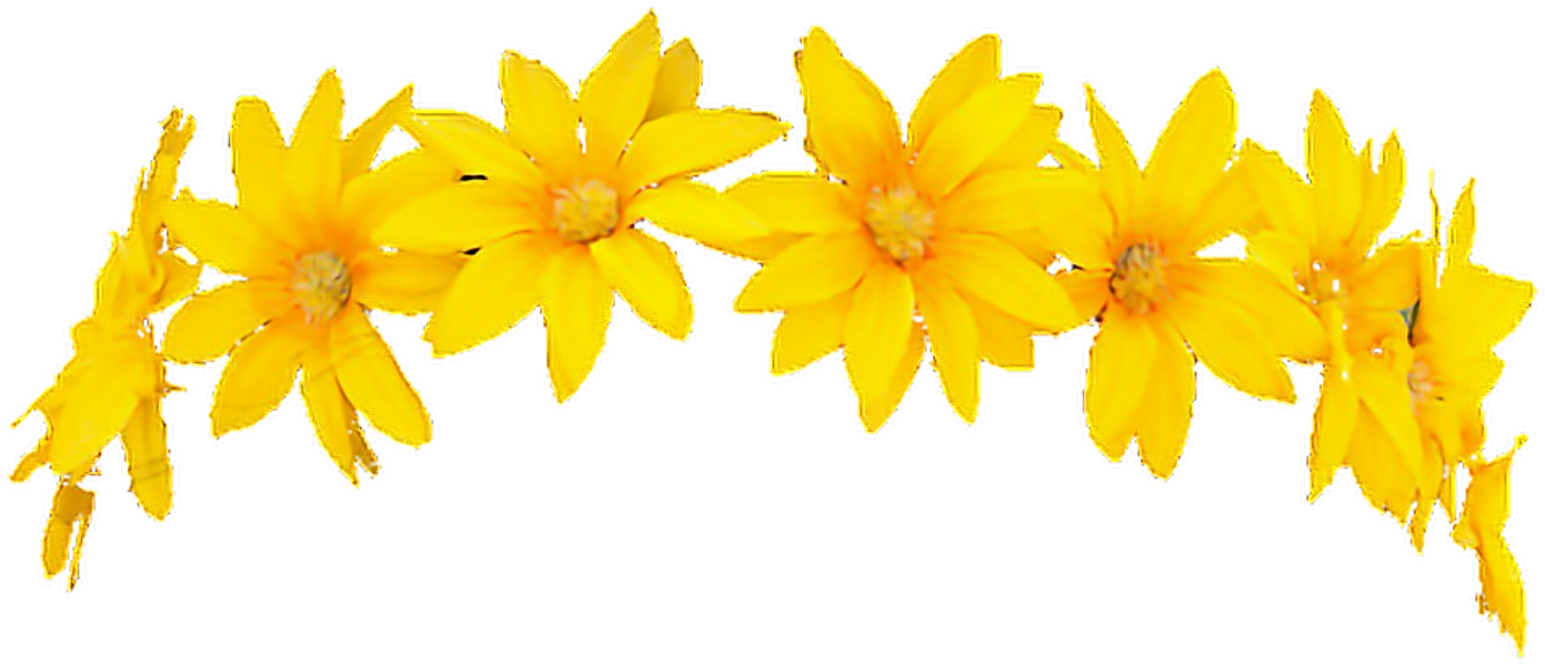 Snapchat Filter Flowercrown Character Render Freetouse - Yellow Flower Crown Transparent (1024x1024), Png Download