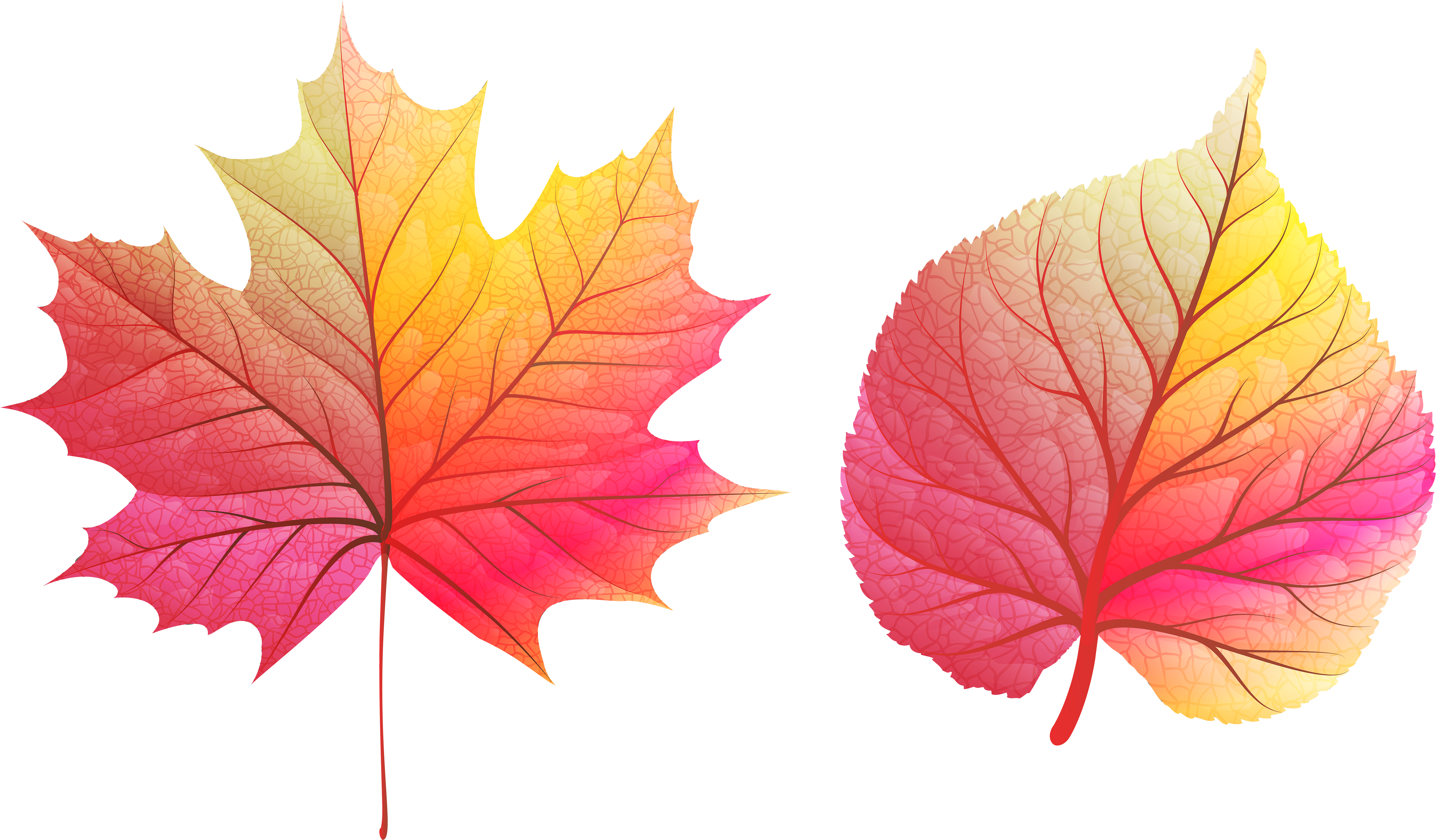 Fall Leaves Clipart Png (6000x3500), Png Download