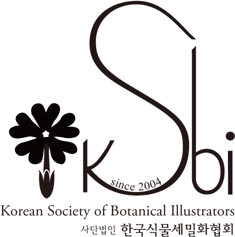 South Korea Logo 1 - South Korea (499x504), Png Download