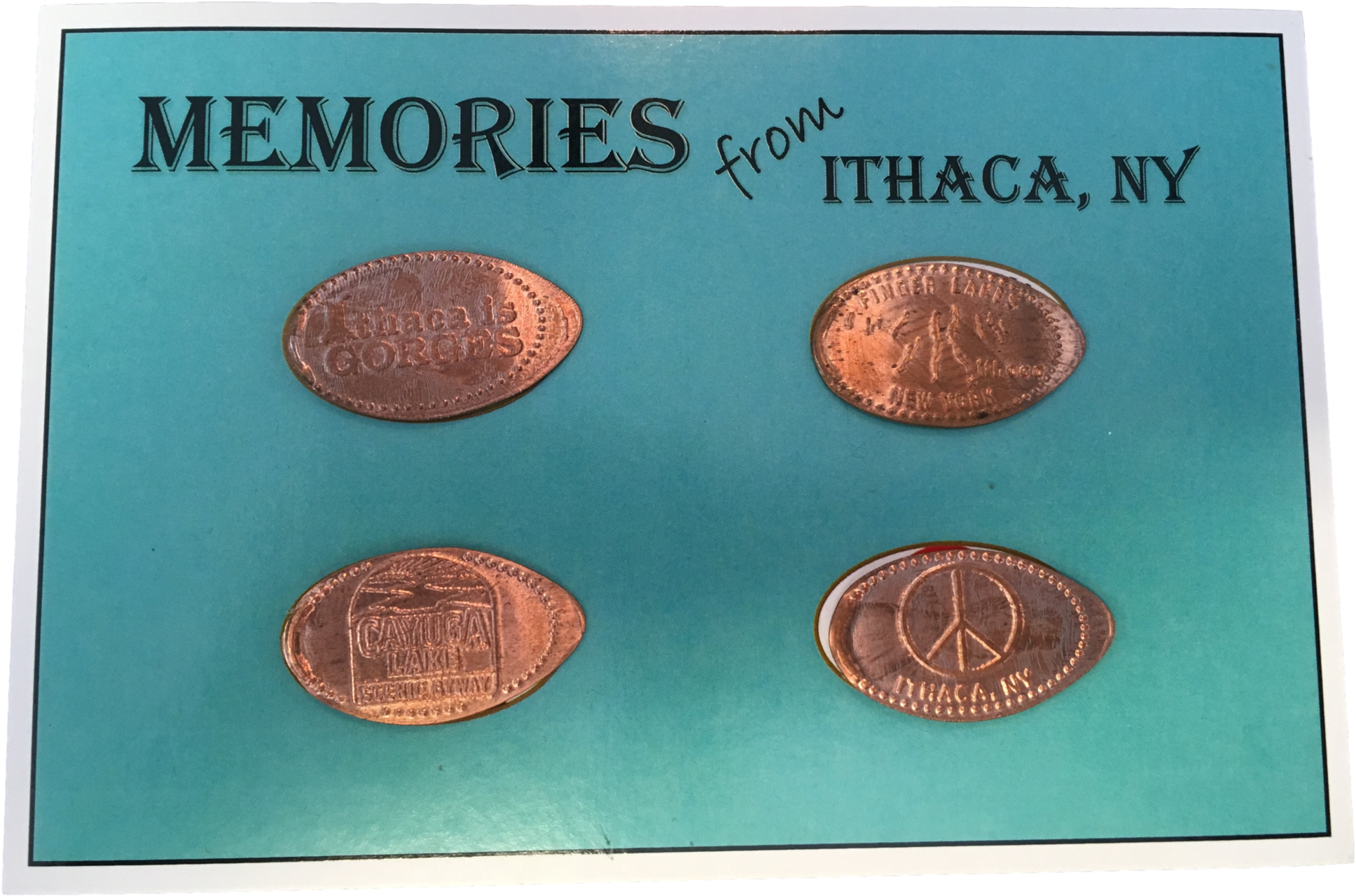 Flat Penny Postcard - Domin Sport (2048x1535), Png Download