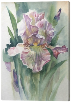 Watercolor Flower Collection - Toilet Tattoos Watercolor Iris Toilet Seat Decal Size: (400x400), Png Download