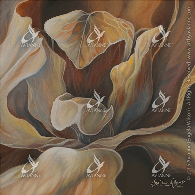 Burnt Iris Giclée - Art (800x800), Png Download