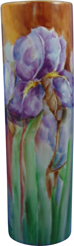 Publicat De Eu Ciresica La - Iris (436x850), Png Download