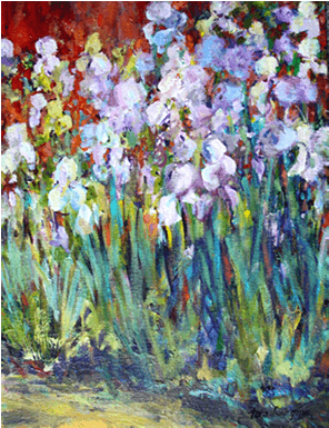 Iris Garden - Chanticleer - Iris (800x500), Png Download