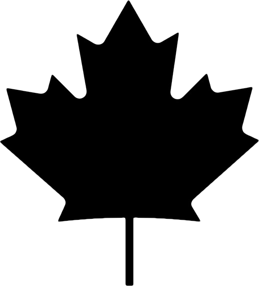 Canada Flag - Canada Maple Leaf Png (517x570), Png Download