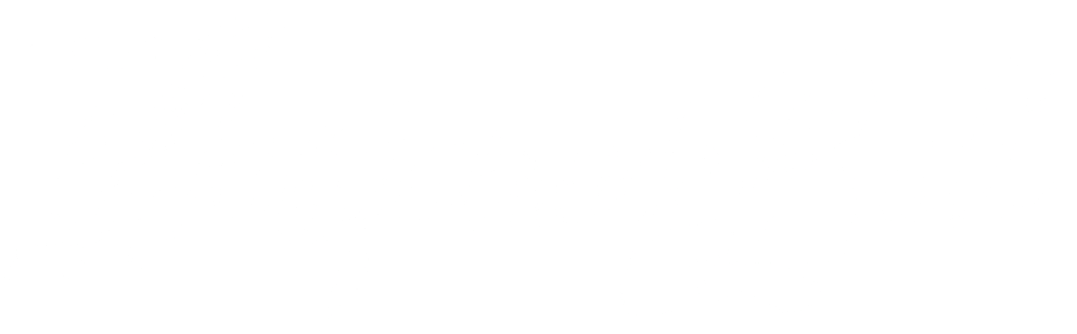 4100 (1000x324), Png Download
