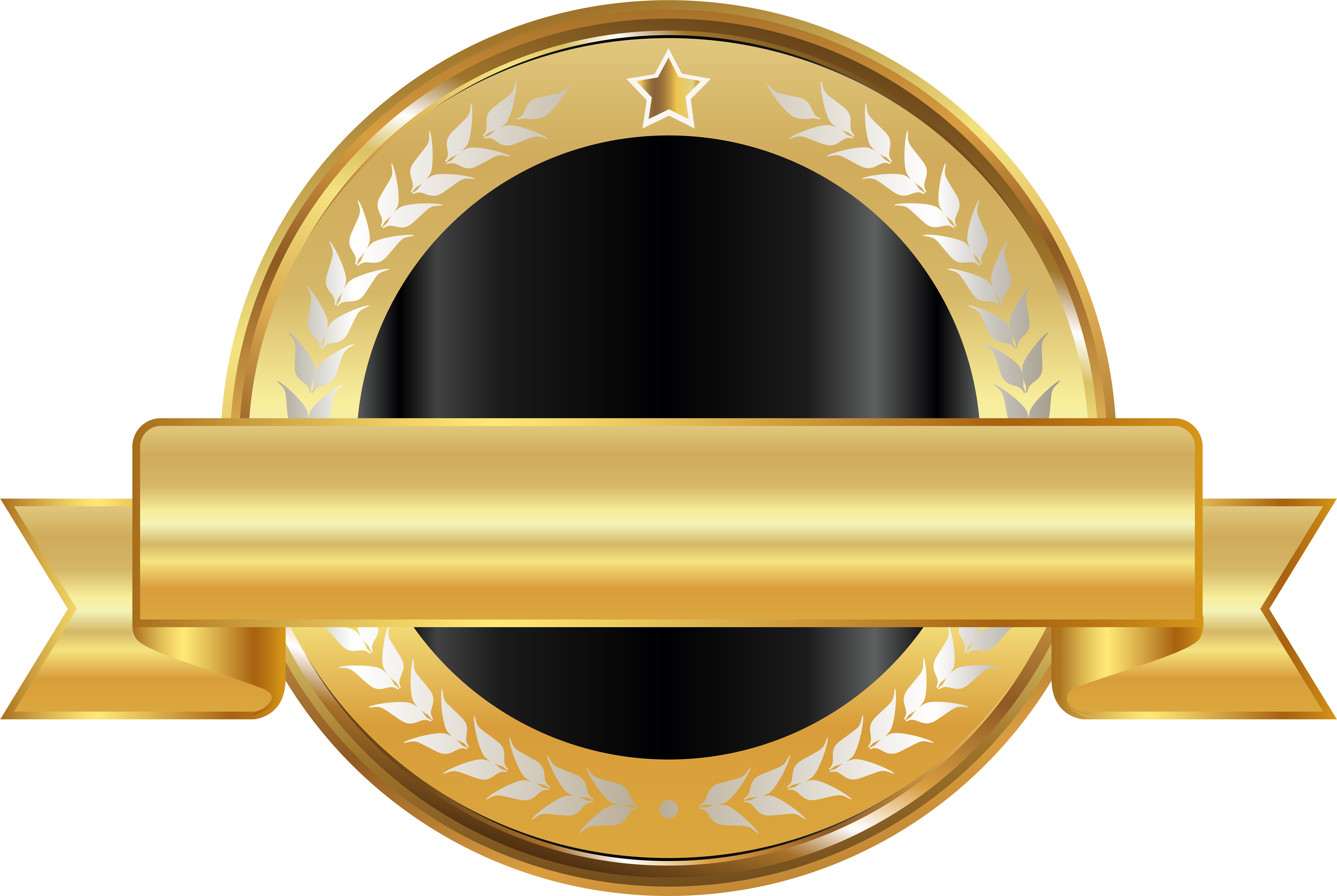 Gold Seal Png Download - Black And Gold Seal Png (8000x5363), Png Download