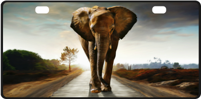 The Elephant License Plate - Ac Distrib Sas The Elephant By Gatterwe 1433788165_40_888-pc... (500x500), Png Download