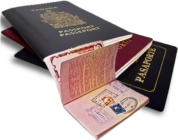 Visa Services - Egyptian Visa (354x364), Png Download