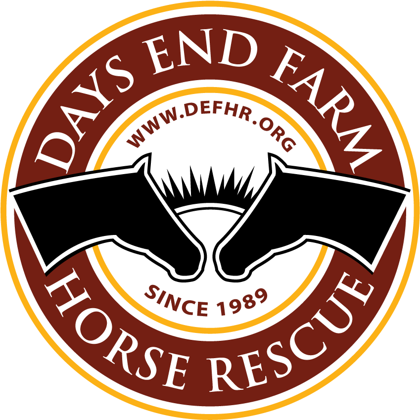 Changing Lives - Ksa Korea Standard Association (900x900), Png Download