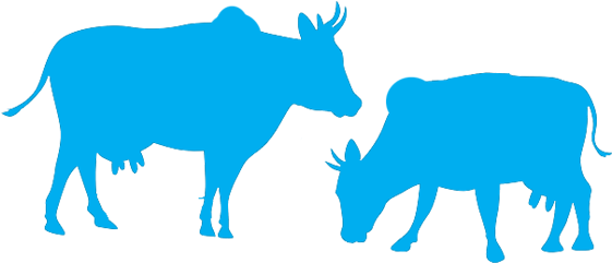 Nurturing, Is Beyond Business - Vaches Silhouette (585x388), Png Download