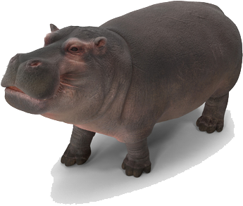 Shower (600x600), Png Download