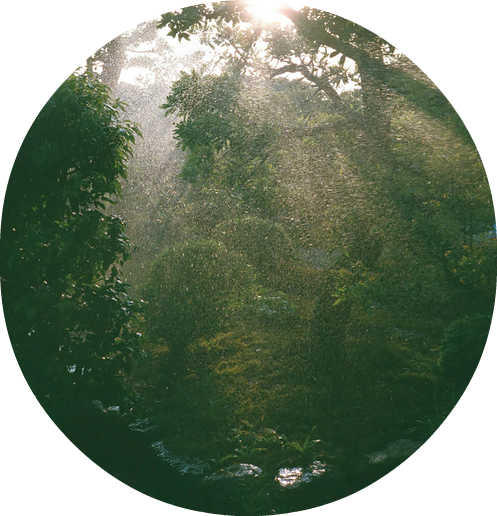 Of Silence - Nature Tumblr Png (497x516), Png Download
