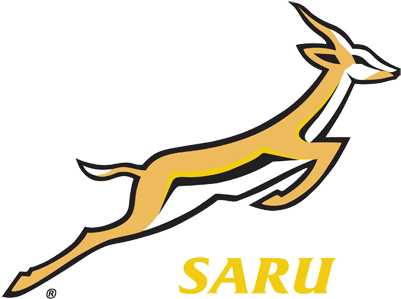 Moments Silence For Sa Sport Stars - Springbok Rugby (450x338), Png Download