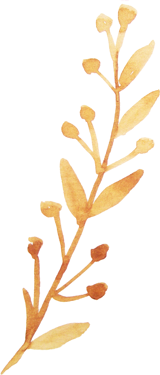 Twig Vector Watercolor - Watercolor Branch With Flower Png (700x1309), Png Download