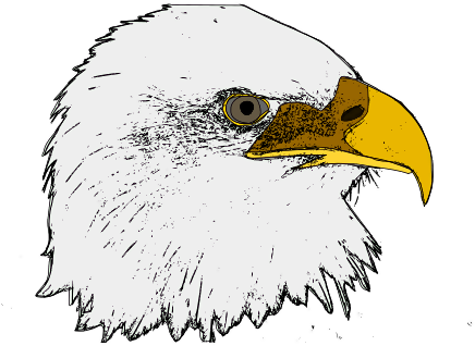 Clip Art (566x800), Png Download