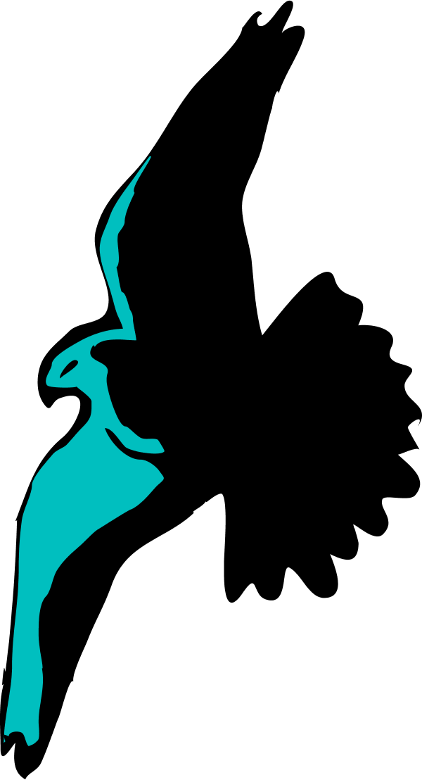 Vector Clip Art - Sombra Passaro Voando (600x1108), Png Download