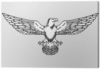 Bald Eagle Wings (400x400), Png Download