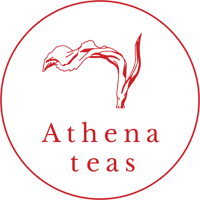 Athena Teas - No Less Than Yes: Personal Encounters With The Promises (669x669), Png Download