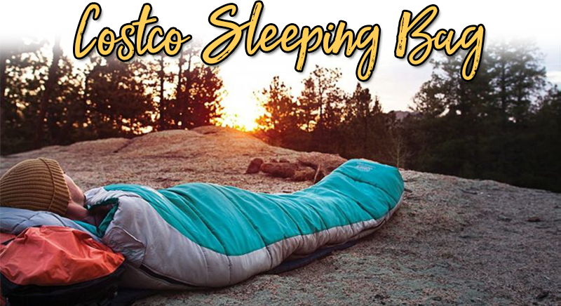 Sleeping Bags At Costco - Coleman Silverton Mummy Sleeping Bag Blue (800x436), Png Download