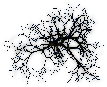 Trees At Night Png (476x376), Png Download