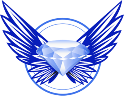 Shield With Wings Png Shield Wings Official Psds - Vector (400x309), Png Download