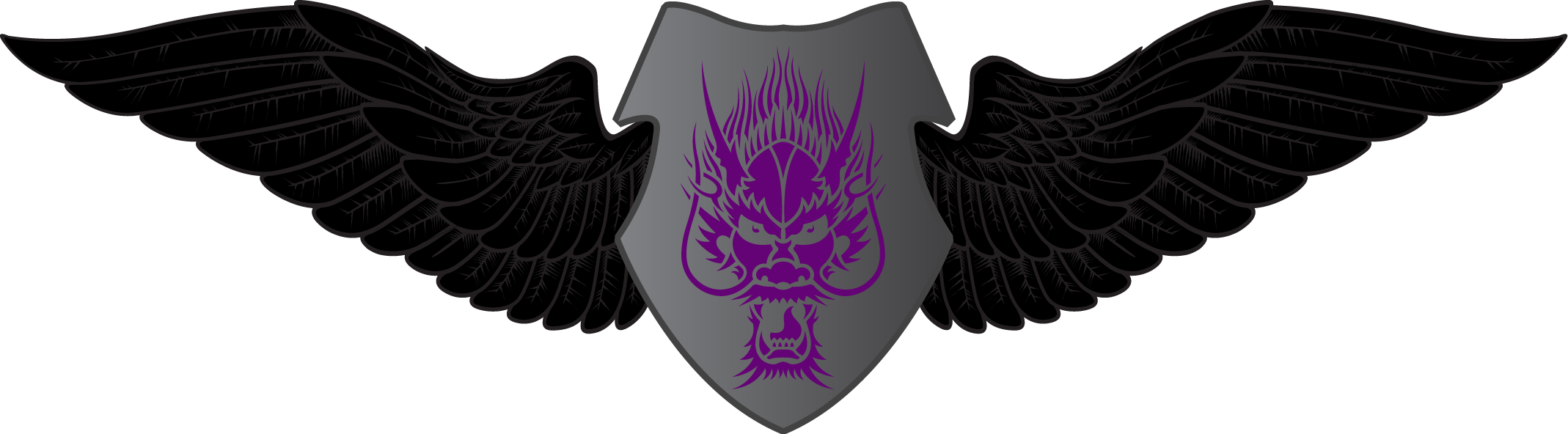 02, 18 July 2012 - Cafepress Dragon Army - Enders Game 5'x7'area Rug (2138x592), Png Download