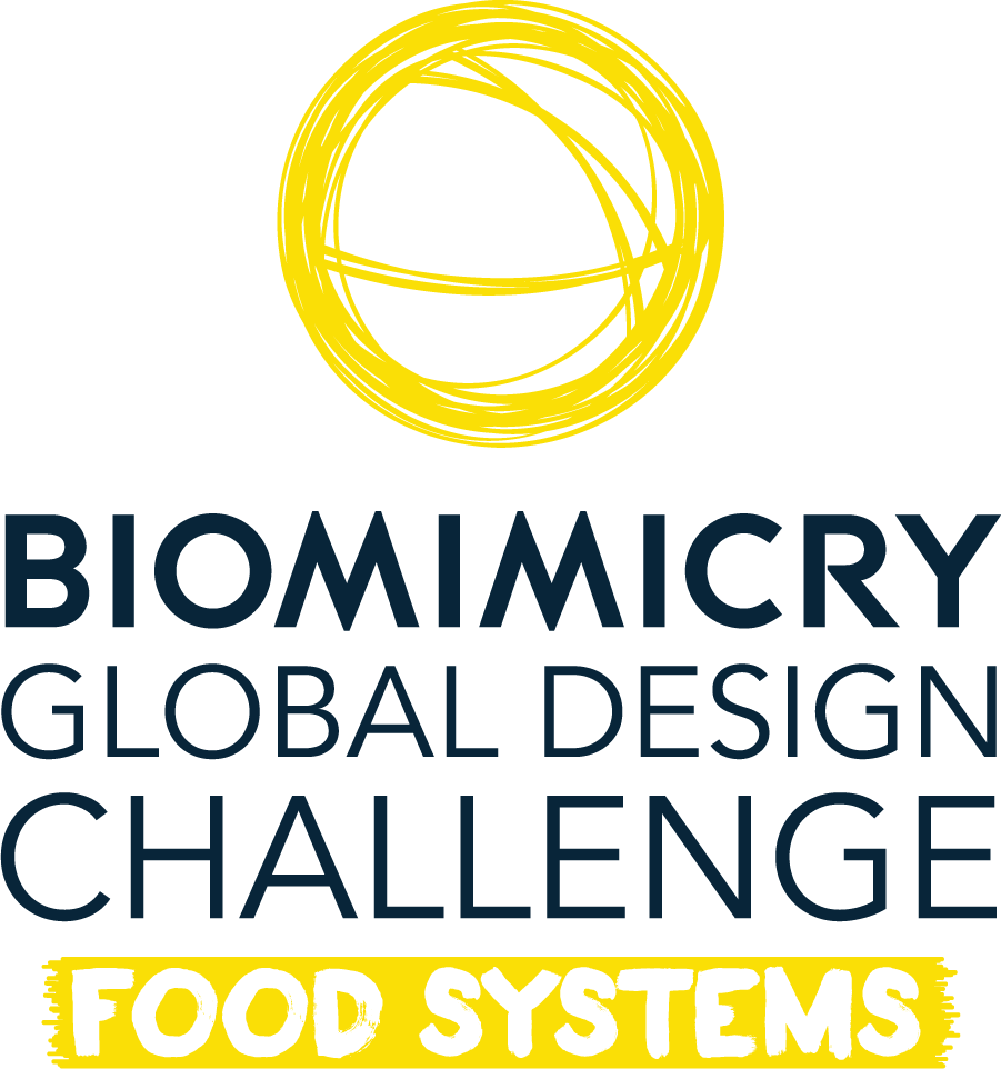 Biomimicry Institute (901x962), Png Download