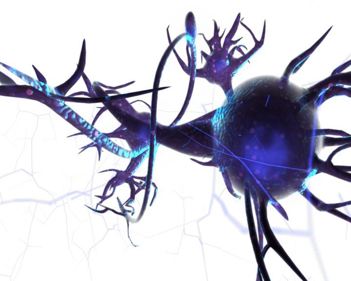 Neuron (720x576), Png Download