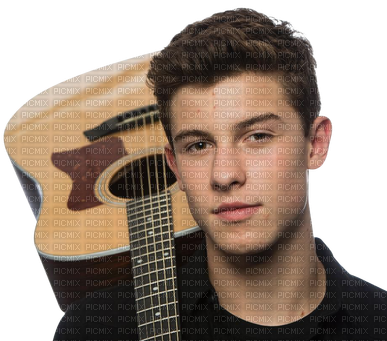 Shawn Mendes - Shawn Mendes Singer (400x340), Png Download