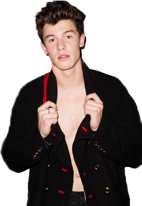 Shawn Mendes Flaunt Magazine Buy (480x696), Png Download