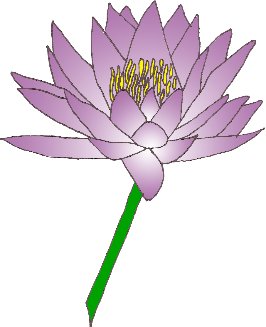 Free - Clip Art Lily Flower (906x1115), Png Download