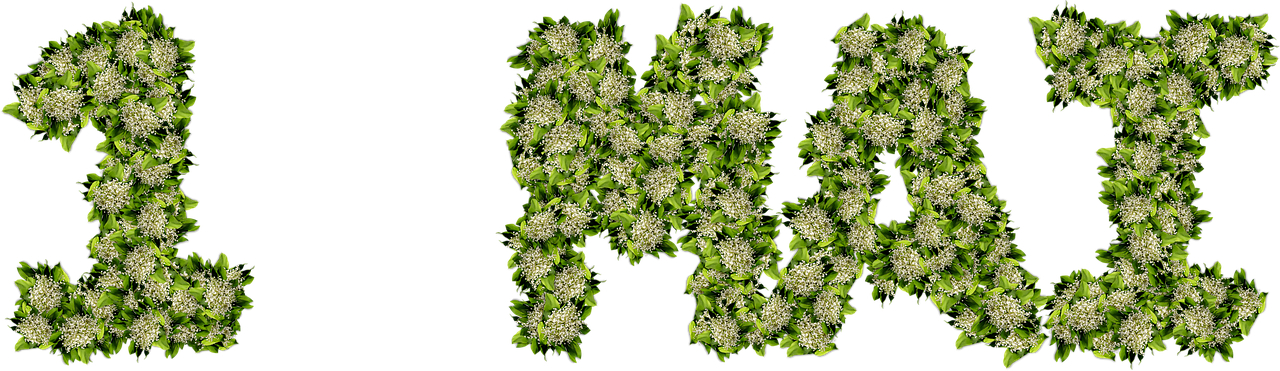 Thrush Lilly Of The Valley Png - 1 Er Mai Png (1280x371), Png Download