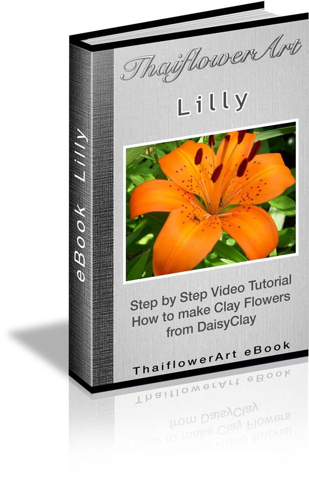 Lily Tiger Play, 8-pack (699x1000), Png Download