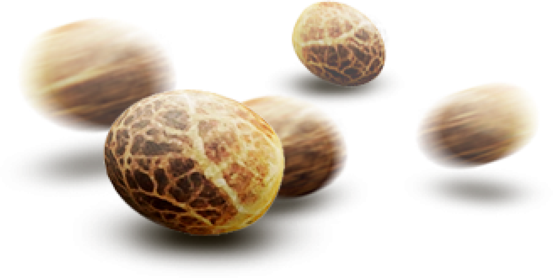Семена Конопли Png (2000x966), Png Download