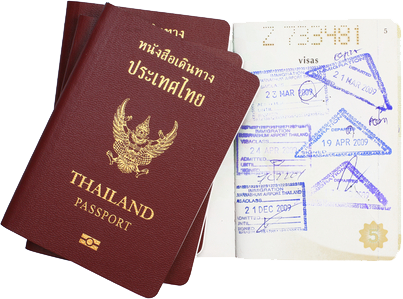 Previous - Cuteamongus Classic Polka Dot Passport Cover, Fabric (403x299), Png Download