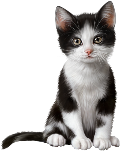 6090083 Pretty Kitty3 - Clip Art Kot (430x699), Png Download