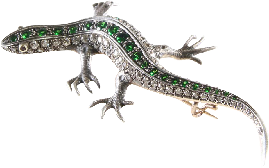 Salamander Png Transparent Image - Jewellery (925x925), Png Download