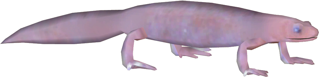 Grotto Salamander (1073x1073), Png Download