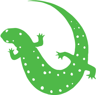 Salamander - Lizard (400x400), Png Download