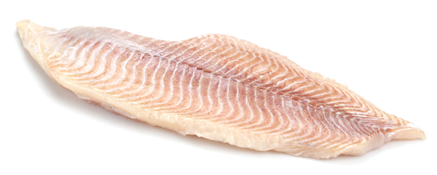 Catfish - Seafood (627x252), Png Download