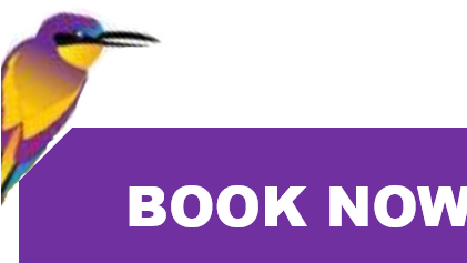 Book Now1 - Coraciiformes (420x312), Png Download