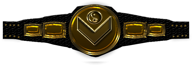 Wrestling Belt Png Hd - Custom Wrestling Belts Png (676x362), Png Download