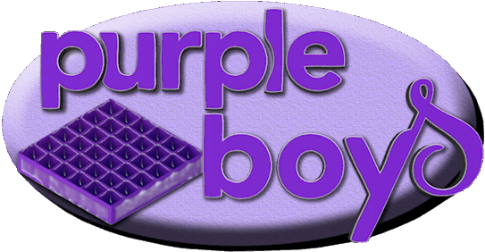 Purple Boys Logo - Tim And Eric Purple Mattress (543x282), Png Download