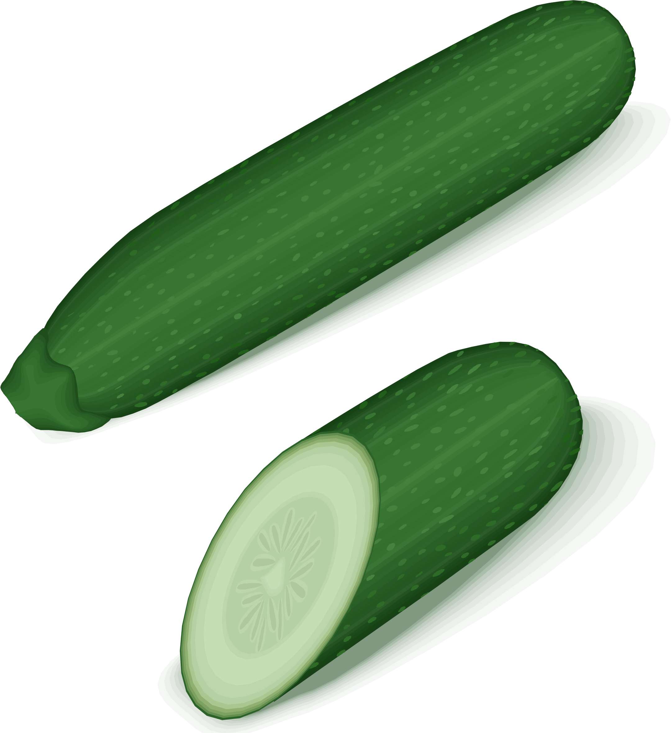 Zucchini Png Clipart - Zucchini Clipart Png (2161x2359), Png Download