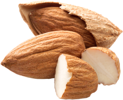 Almond Png Transparent Free Images - Almond Png Transparent Hd (400x400), Png Download